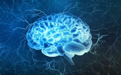 5 TEORIAS SOBRE LA NARCOSIS