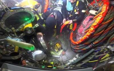 BUCEO DE SATURACION Y SU CONSECUENCIA SOBRE LA HEMOGLOBINA Y LA ERITROPOYETINA