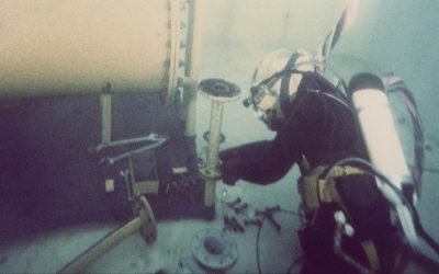 CAMBIOS EN LAS VIAS DE COAGULACION EXTRINSECA E INTRINSECA DESPUES DE LA DESCOMPRESION DEL BUCEO DE SATURACION